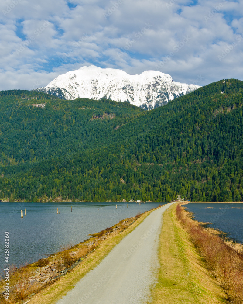 Fragment of Pitt Lake trail in Vancouver, Canada.