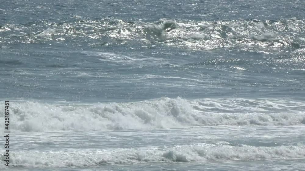 海 波 太平洋 静岡県 日本 海 波 太平洋 静岡県 日本