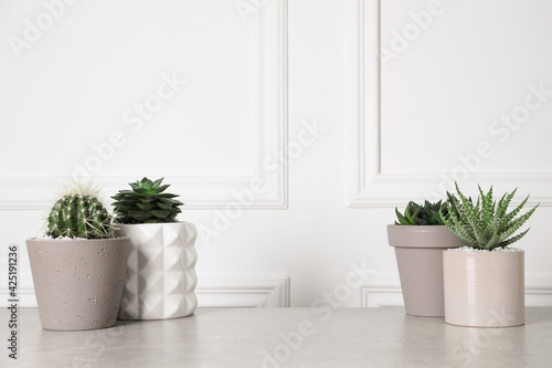 Beautiful Aloe, Cactus, Haworthia and Echeveria in pots on light table, space for text. Different house plants