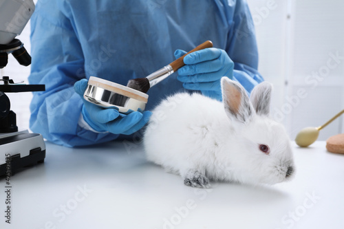 Fotografie Scientist with rabbit and makeup products in chemical laboratory, closeup