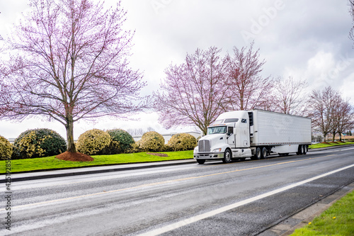 Bonnet big rig white big rig semi truck transporting cargo in refrigerator semi trailer running on the local road with blooming spring trees on the side