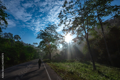 Sun rays through mist illumining a curved scenic road surrounded by beautiful green forest with light effects and shadows. Kaeng Krachan National Park, Phetchaburi - Thailand