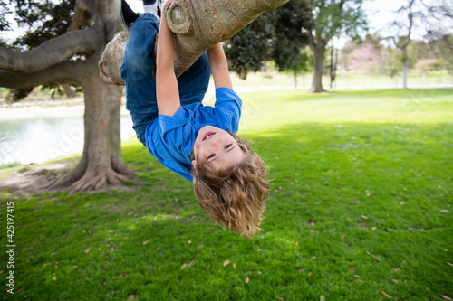 Little boy kid on a tree branch. Child climbs a tree.