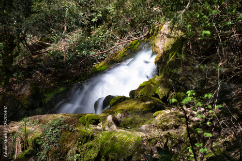 Bullidor de la llet  Parque Natural Cad   Moixer  