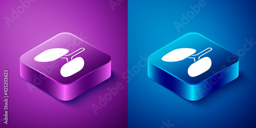 Isometric Lungs icon isolated on blue and purple background. Square button. Vector