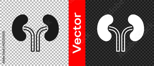 Black Human kidneys icon isolated on transparent background. Vector