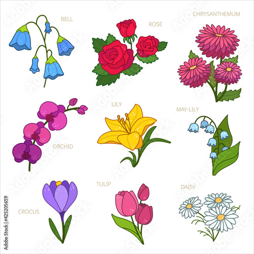 Vintage Cute illustration. Drawing style. Cartoon flower set for print design. Lily, rose, chrysanthemum, daisy, bell, tulip