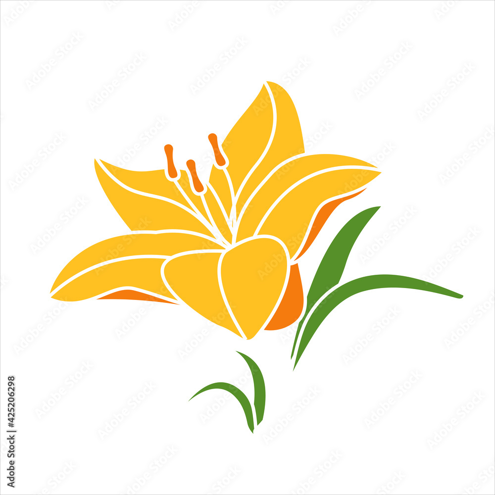 Yellow lily in cartoon style on white background. Isolated vector illustration. Yellow lily in cartoon style on white background. Isolated vector illustration.