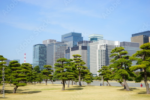 Tokyo, Japan - March 2021: Imperial palace Gaien park  surrounded by skyscraper in Tokyo, Japan - 皇居 外苑 松の木と都市風景 東京 © Eric Akashi