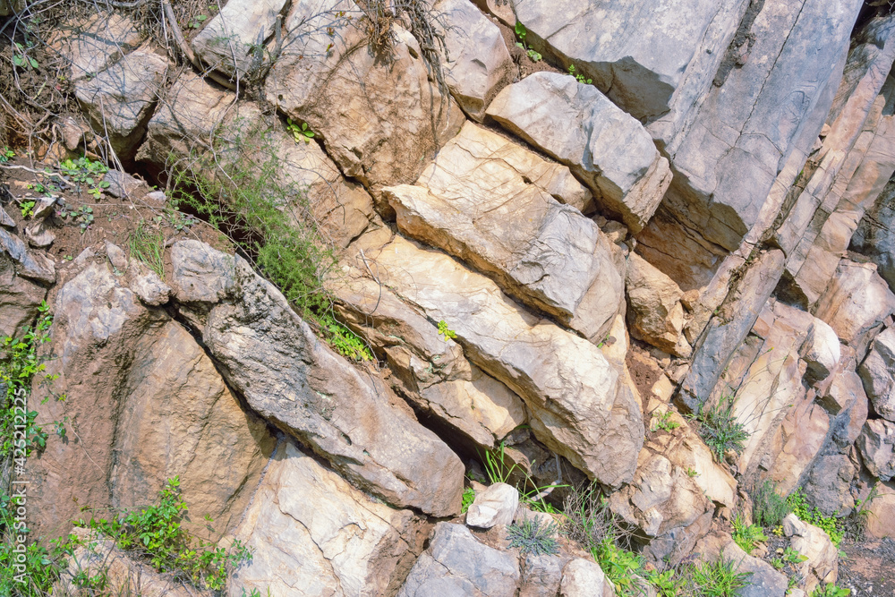 Stones and grass, natural stone background, detail of vertical cliff in Dinaric Alps