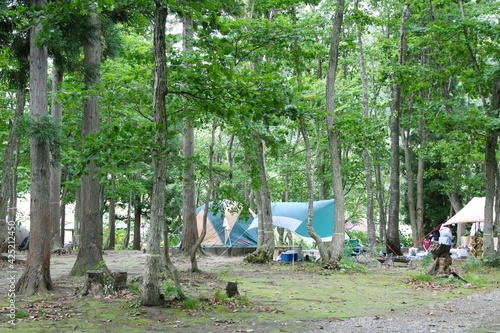 森林の中のキャンプ場