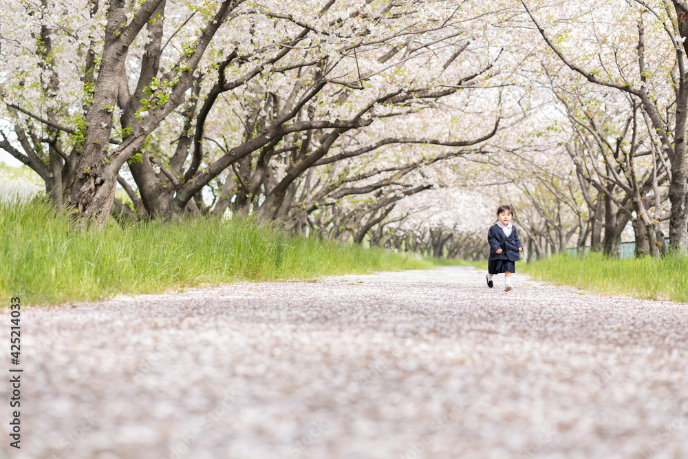 桜の並木を走るの幼稚園児