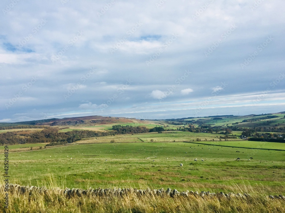 Obraz premium エディンバラの風景