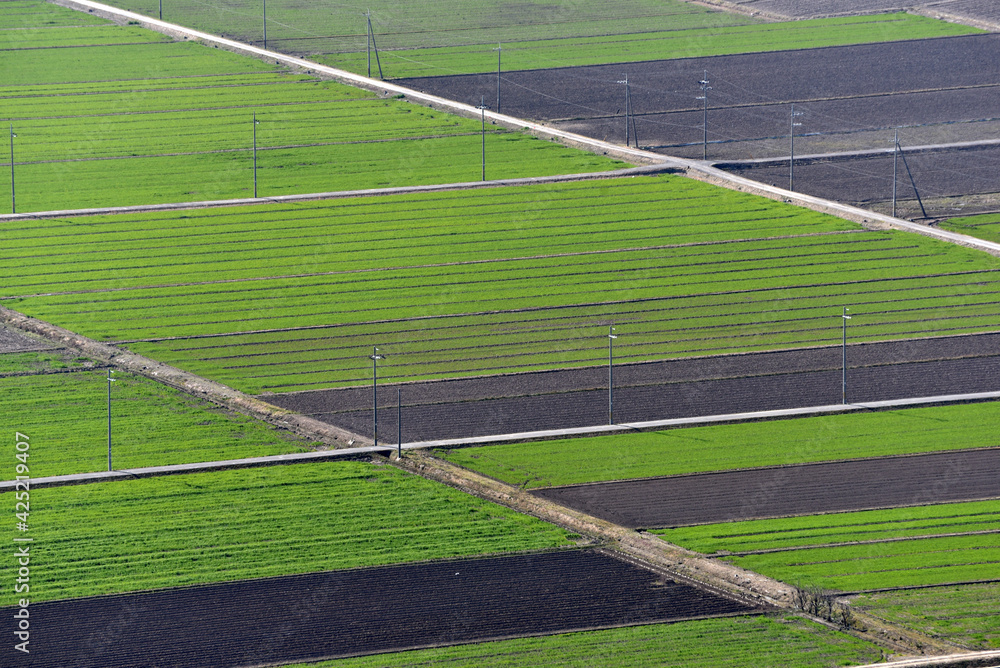 Fototapeta premium 八幡山城跡 山頂から干拓農地を望む 滋賀県近江八幡市