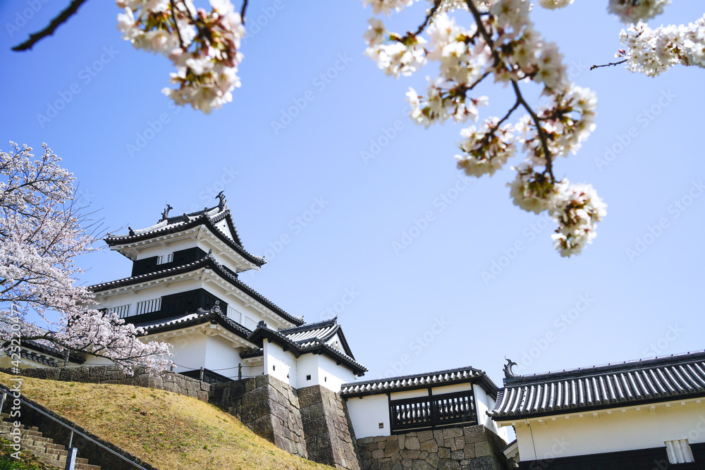 満開の桜と福島県白河市の小峰城
