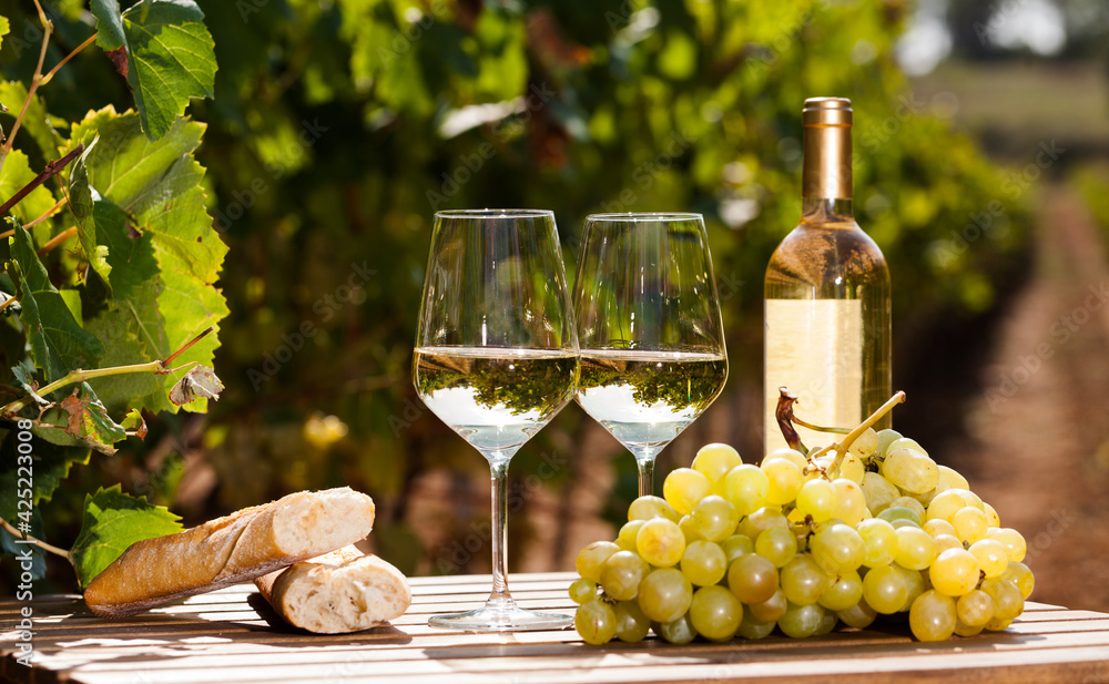 Fototapeta premium still life with glass of White wine grapes and bread on table in field