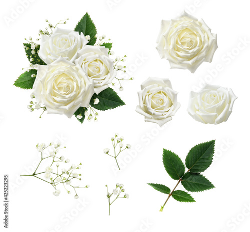 Set of white rose flowers, ...