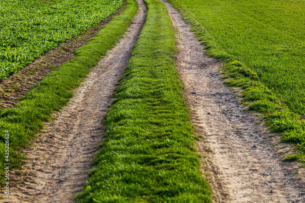 Route naturelle dans les champs - chemin champêtre avec de la terre à travers les champs Route naturelle dans les champs - chemin champêtre avec de la terre à travers les champs