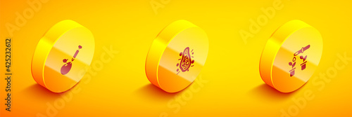 Set Isometric Genetically modified apple, Bacteria and Pipette and plant icon. Vector