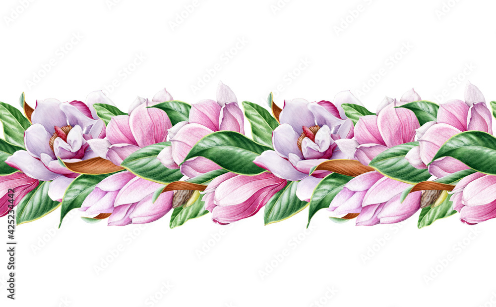 Magnolia flower seamless border. Tender pink magnolia blossom decor. Floral endless decorative ornament. Watercolor illustration. Realistic elegant seamless border. Botanical realistic element