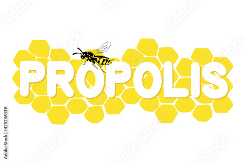 Honeycomb illustration with bee isolated on white background
