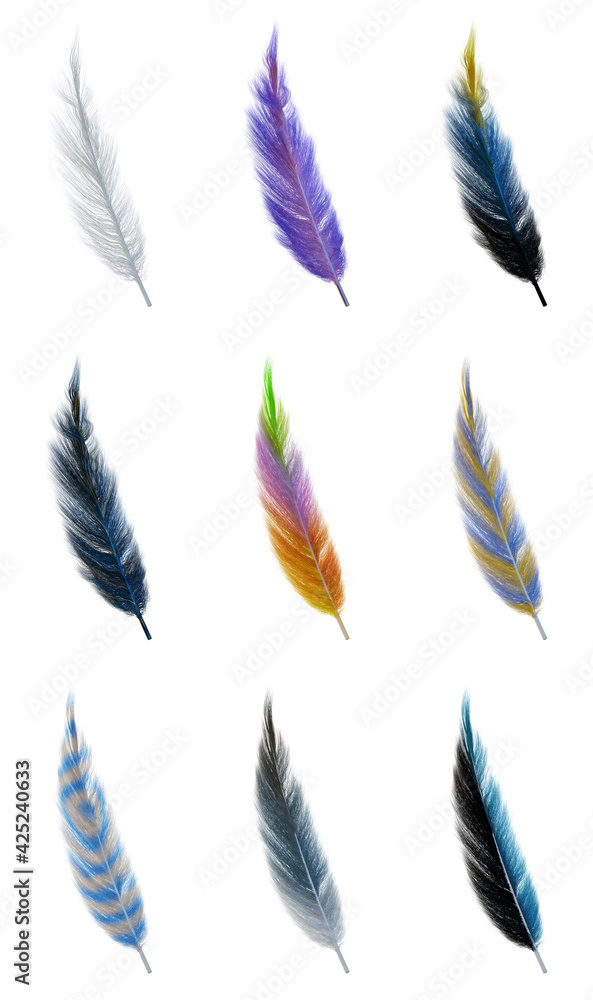 Collection set of color soft feathers transparent isolated each element on white background .3d render Illustration.