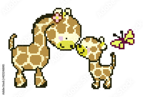 Photography giraffe