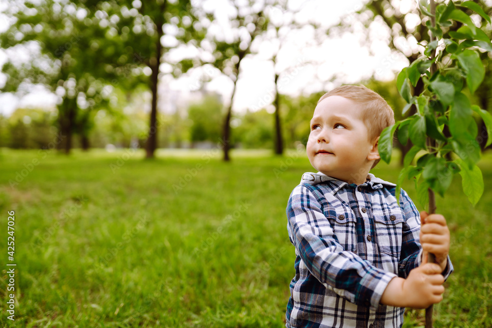 Fun little gardener. Smiling child plants young tree on black soil. Planting a family tree. Spring concept, nature and care. Fun little gardener. Smiling child plants young tree on black soil. Planting a family tree. Spring concept, nature and care.