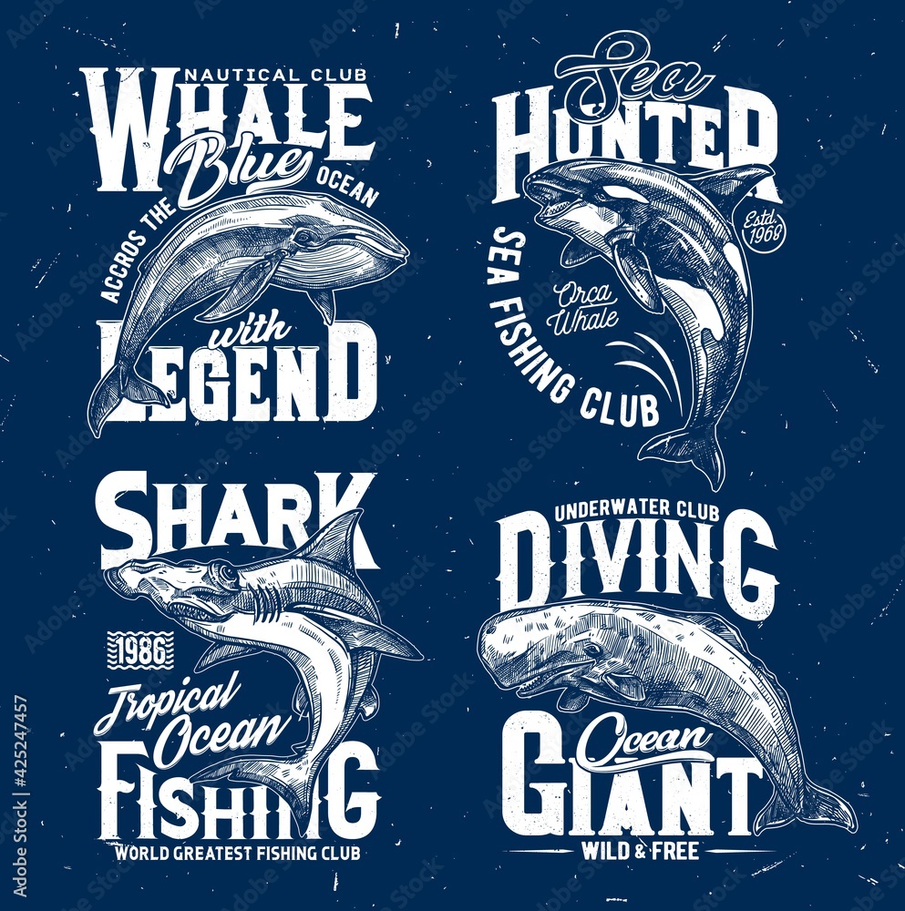 Trophy fishing and ocean diving club t-shirt print template. Blue whale,  orca or killer whale and hammerhead shark, cachalot engraved vector.  Clothing prints with ocean big mammal and marine predator Stock Vector