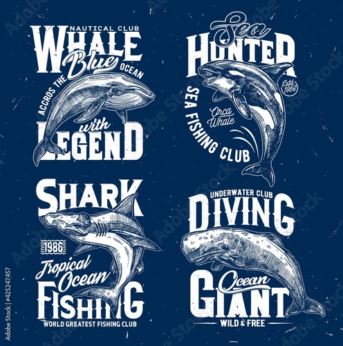 Trophy fishing and ocean diving club t-shirt print template. Blue whale, orca or killer whale and hammerhead shark, cachalot engraved vector. Clothing prints with ocean big mammal and marine predator