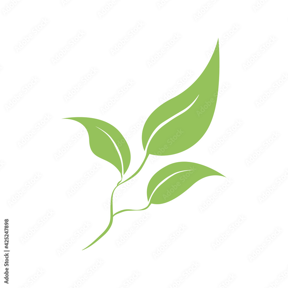 Obraz premium Branch of green coffee leaves isolated on white. Vector illustration. Decorative element. Icon, sign, symbol, emblem. For a wide range of applications in your design.