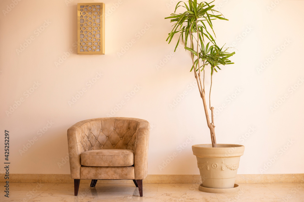 Brown retro armchair stands near green flower in pot. Modern beige interrior