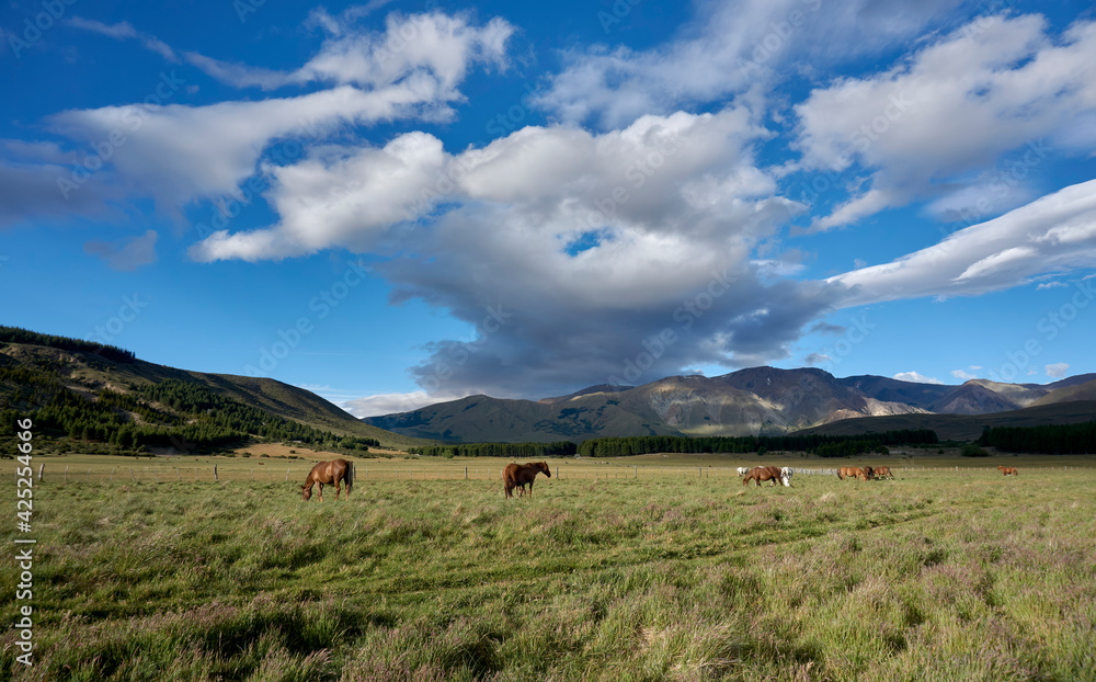 Obraz premium Scene view of horses on a green meadow against Andes mountains in Esquel, Patagonia, Argentina