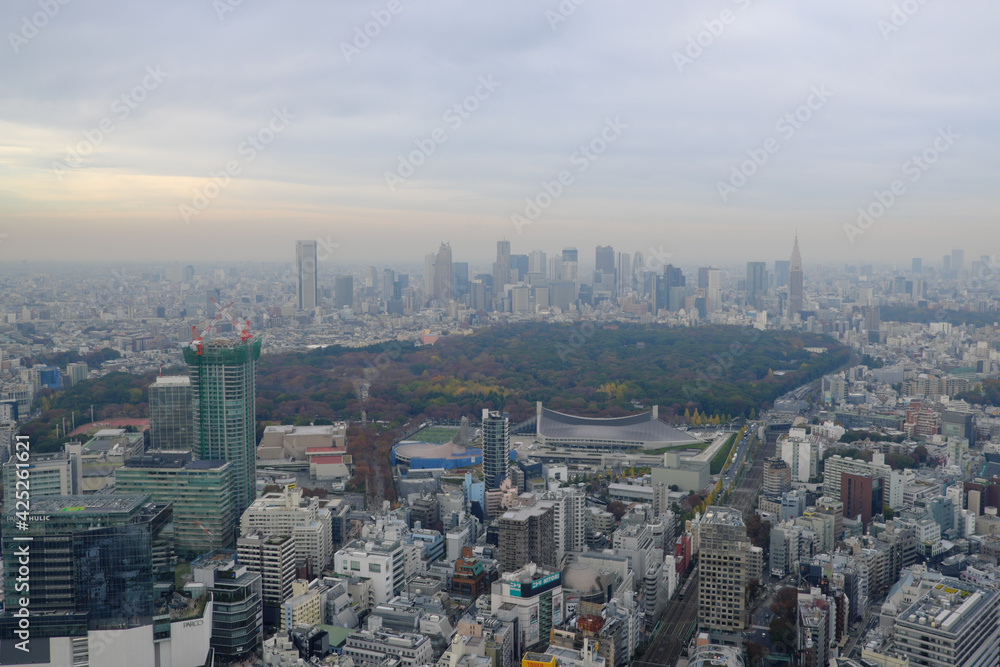 東京新宿超高層ビル街の遠景