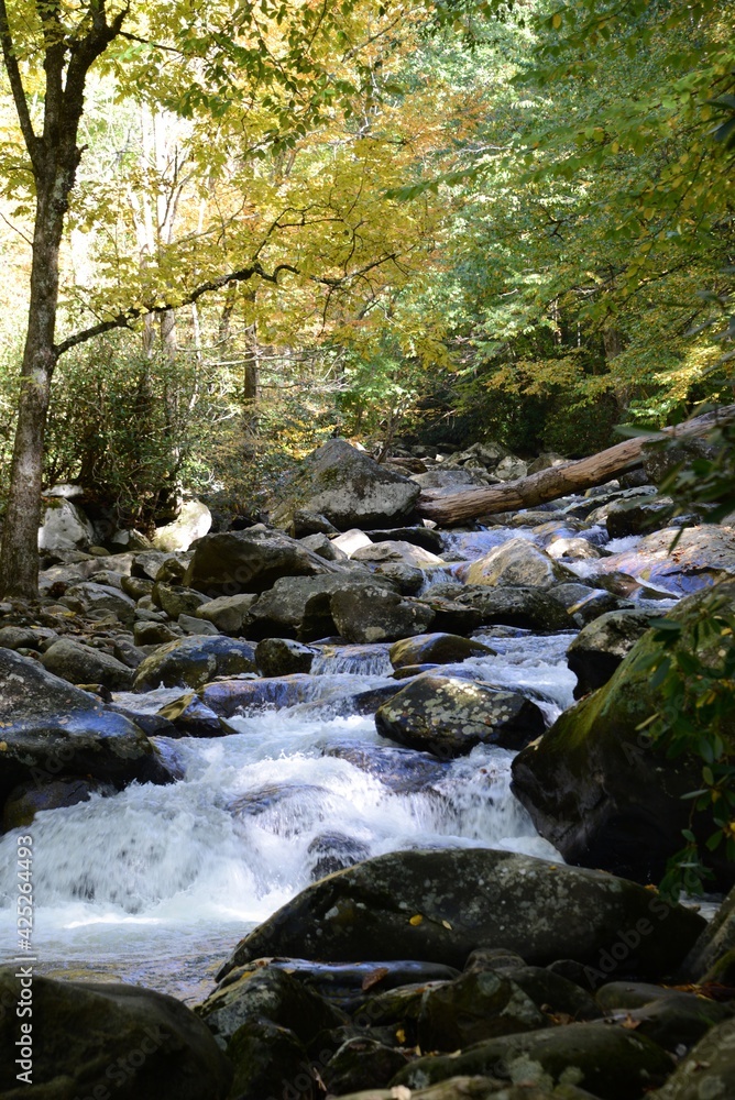 stream in the Smoky mountains stream in the Smoky mountains