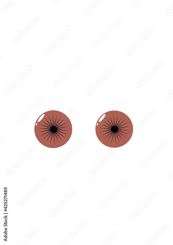 Vector illustration of brown eyes. White highlights on brown eyes. Brown lenses. Eye. Isolated. Optics. Vector illustration of brown eyes. White highlights on brown eyes. Brown lenses. Eye. Isolated. Optics.
