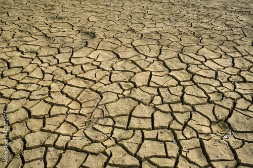 Cracked dry earth with cracks texture