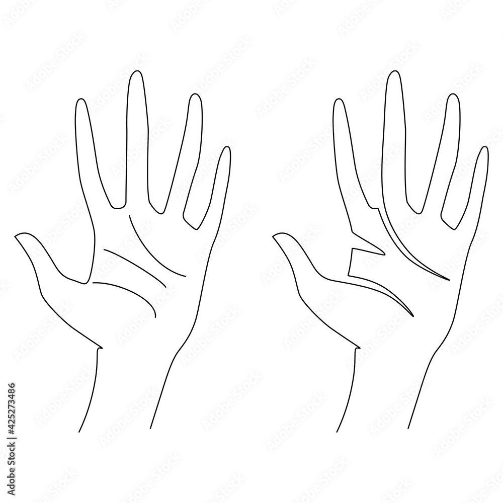 Obraz premium Woman's hand gestures. One line drawing. Vector illustration. Grace and mannerism