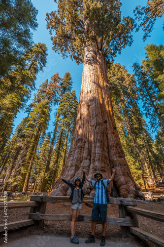 A couple in the giant tree of the General Sherman tree in Sequoia National Park in a beautiful sunset, California. USA © unai