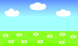 Green field of flowers, blue sky and clouds vector cartoon nature summer wallpaper background landscape. Daisy and chamomile flower white daisies and camomiles flowers