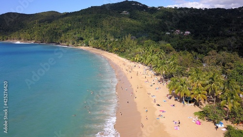 aerial view of a yellow sand beach in Guadeloupe 