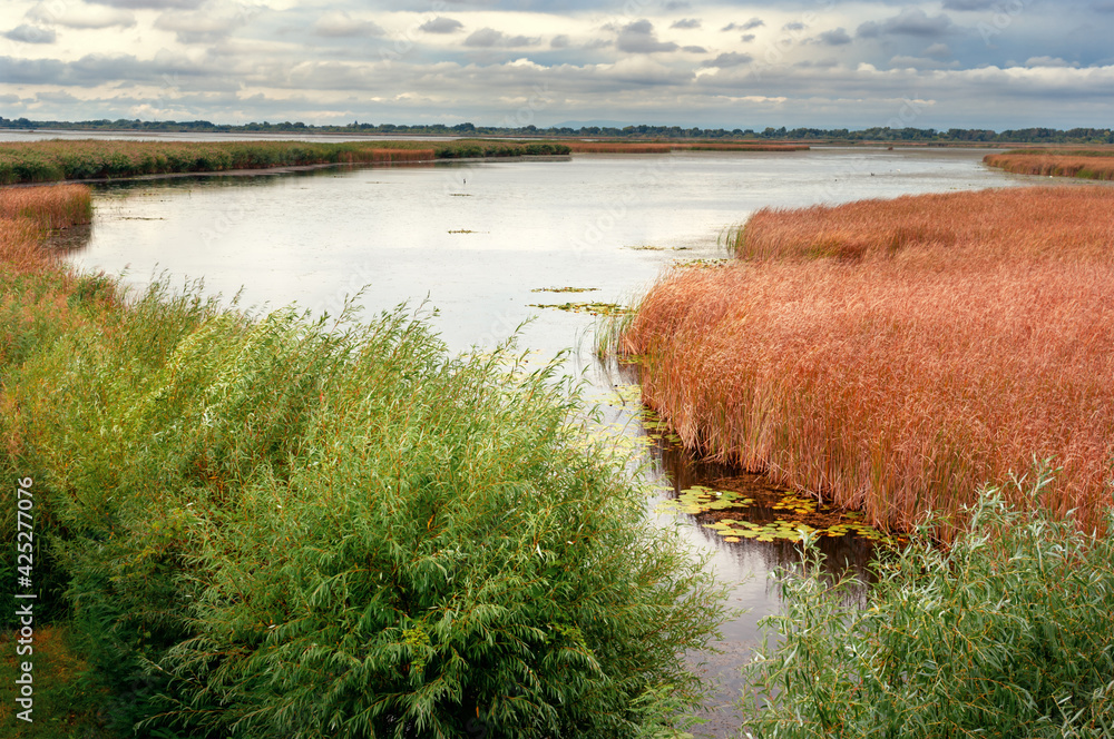 Landscape at lake Tisza Hungary