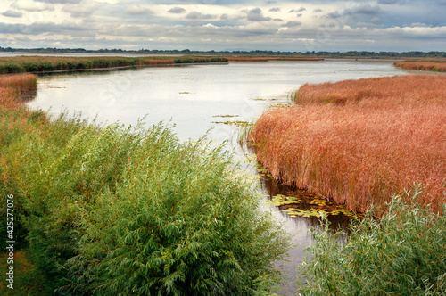 Obraz na płótnie Landscape at lake Tisza Hungary w salonie
