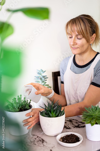 Woman gardener take care of plants in white ceramic pots on the white table. Concept of home garden. Spring time. Taking care of home plants.