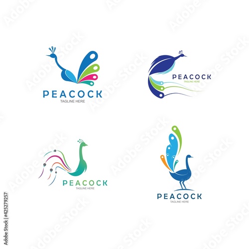 Peacock logo design vector template