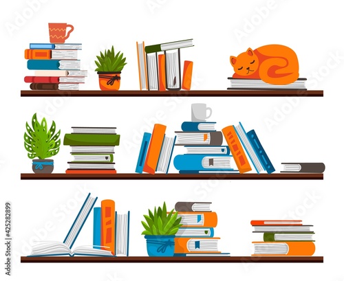 Bookshelves. Shelf in library room. Place for storage books. Rack with stacks of textbooks or notepads, flower pots and coffee cups. Hygge style interior template. Vector furniture