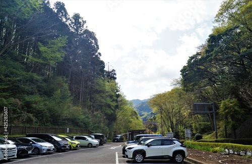 Cars parking in the forest