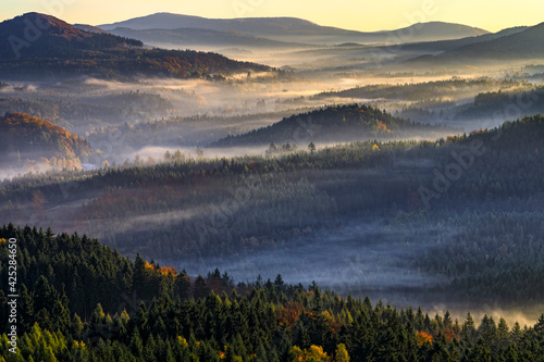 Papier peint Landscape with fog