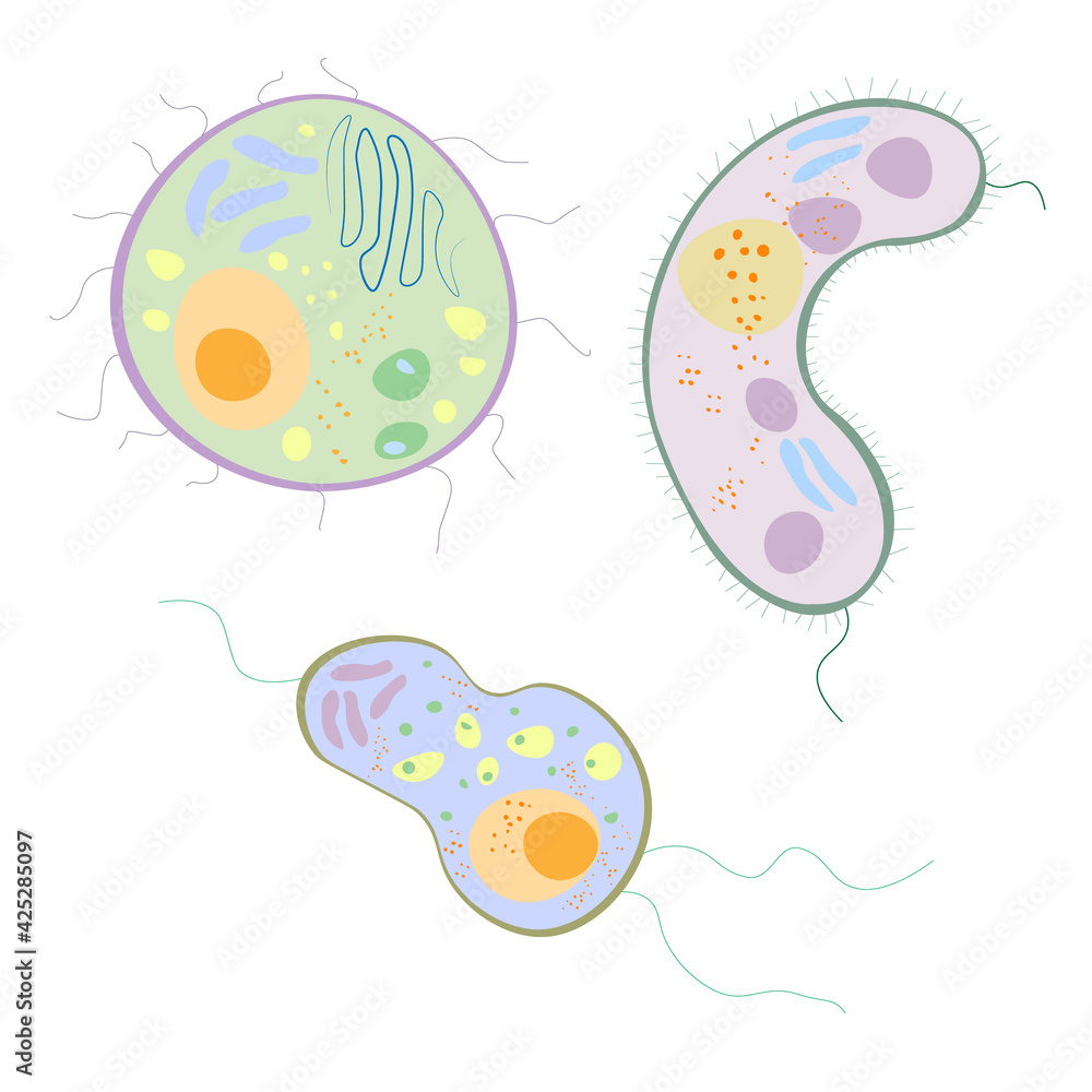 set of bacteria. coloring germs.
set of bacteria. coloring germs.