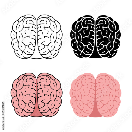 Human brain vector illustration isolated on white background